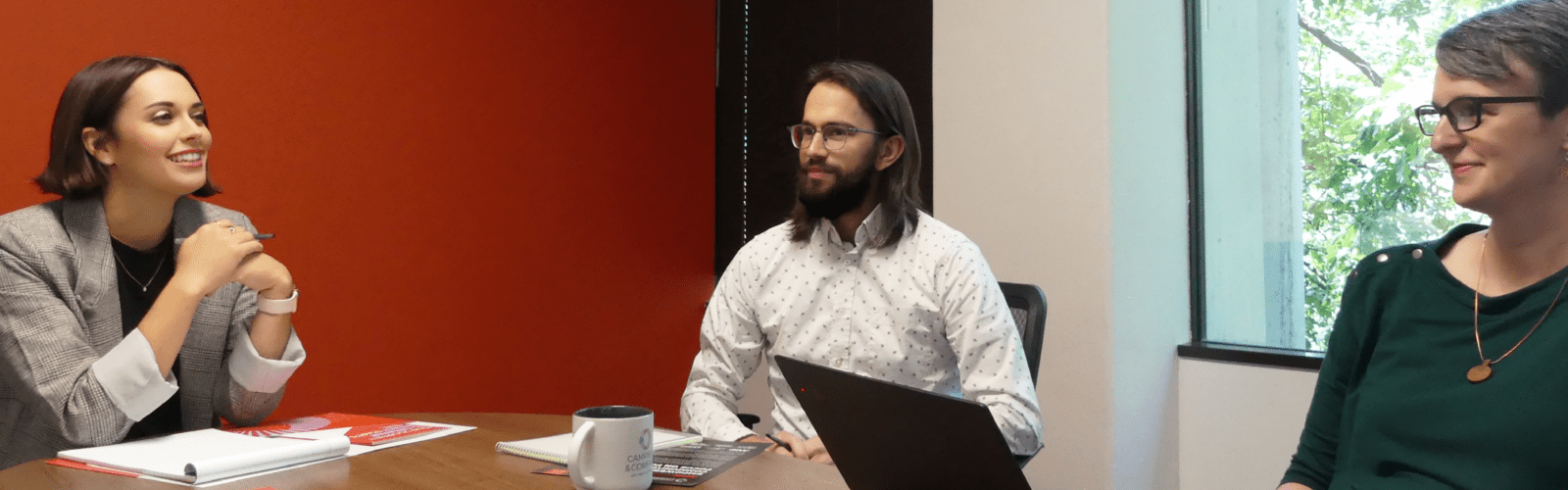 Development Assessment
