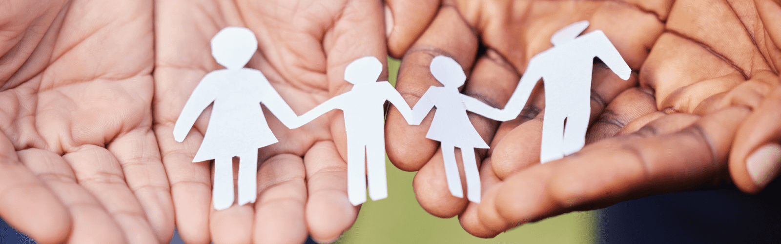 Deeply Rooted in the Nonprofit Sectors We Serve